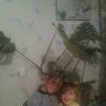 Л_Некс