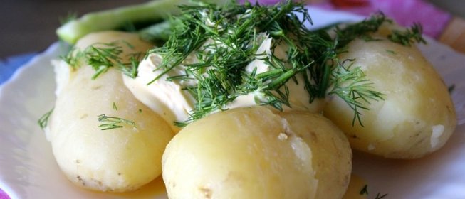 Молодой картофель со сметаной и зеленью