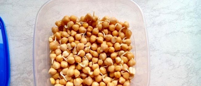 Пророщенный нут