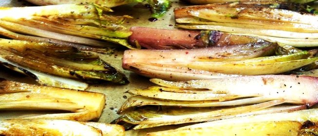 Винный цикорий