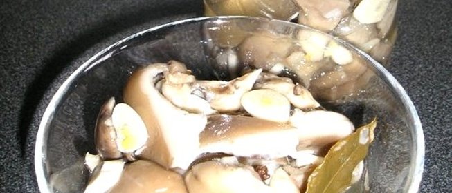Вешенки, маринованные на закуску