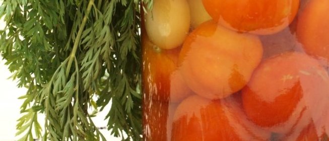 Помидоры с морковной ботвой