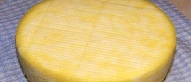 Голландский твердый сыр в домашних условиях