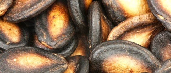 Жареные острые тыквенные семечки с солью и чесноком