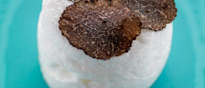 Снежный трюфель