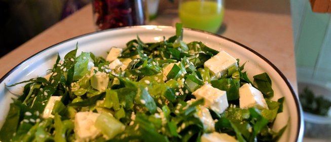 Зеленый салат с авакадо