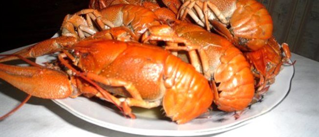 Вареные раки с укропом