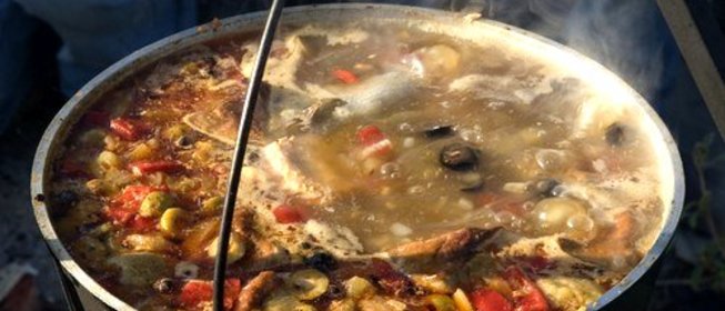 Солянка донская