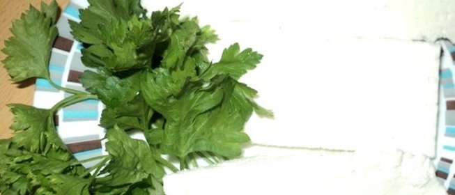 Сыр из козьего молока в домашних условиях