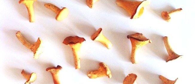 Рагу из лисичек и баклажанов