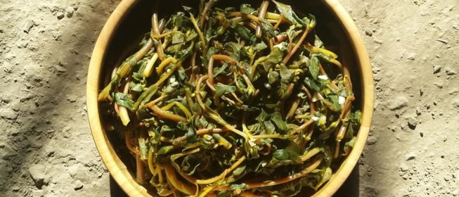 Салат-закуска из портулака