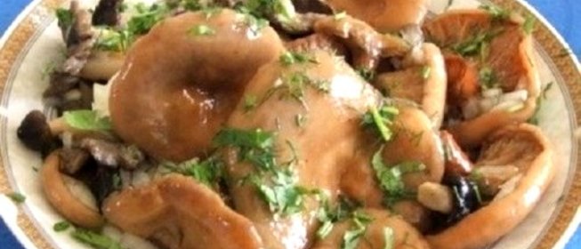 Засолка волнушек