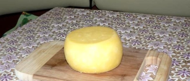 Сыр белорусский в домашних условиях