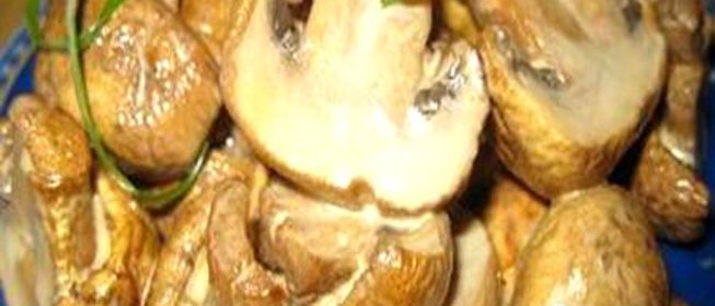 Грибы обалденные