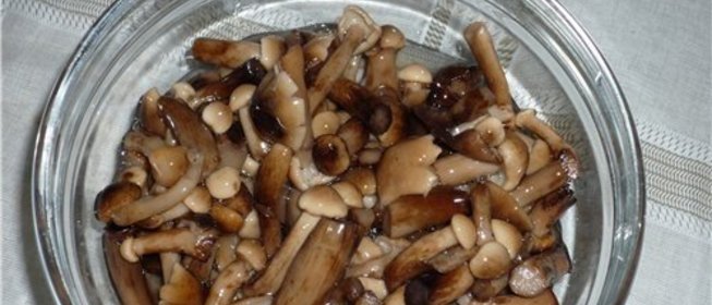 Консервированные опята на зиму