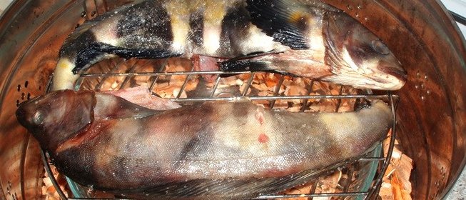 Терпуг копченый