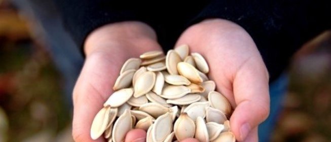 Жареные тыквенные семечки