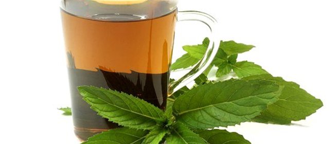 Мятный травяной чай
