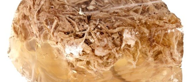 Холодец (студень) говяжий