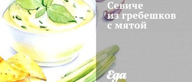 Севиче из гребешков с мятой