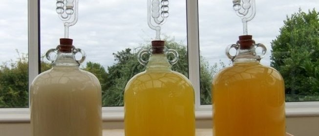 Вино из дыни