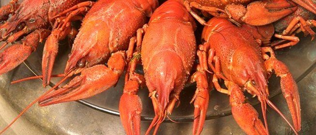 Раки, сваренные в пиве