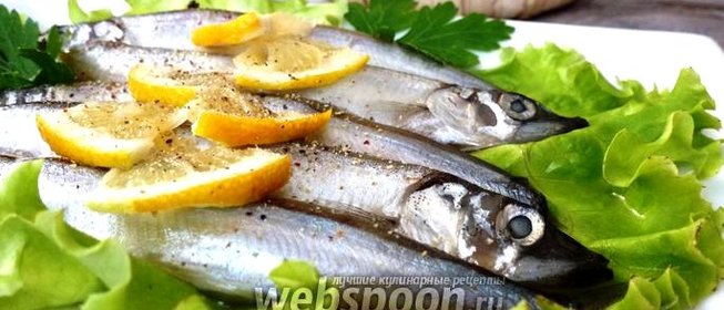 Солёная мойва