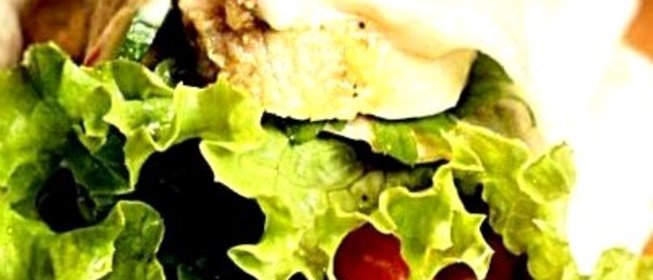 Чикен ролл с сыром