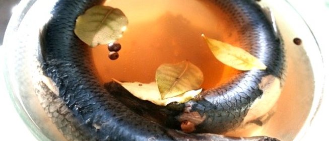 Засолка сельди целиком