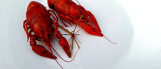 Раки сливочные