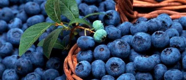 Компот из голубики на зиму