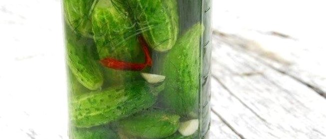 Холодные огурчики