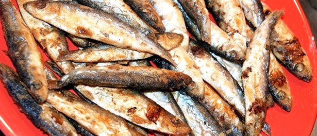 Жареная килька