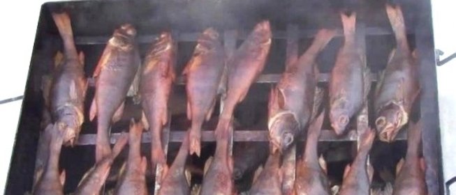Окунь в коптильне