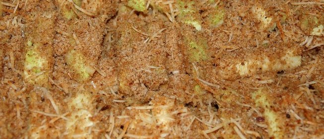 Палочки из цукини в золотистой панировке из пармезана