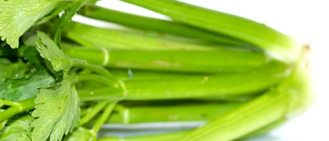 Тушеный сельдерей