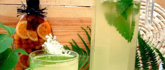 Квас из бузины