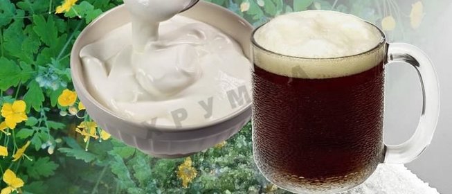 Квас из чистотела