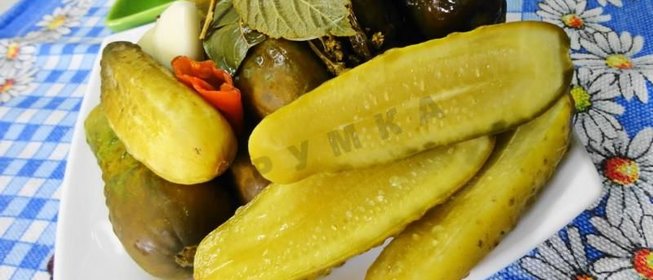 Засолка бочковых огурцов на зиму