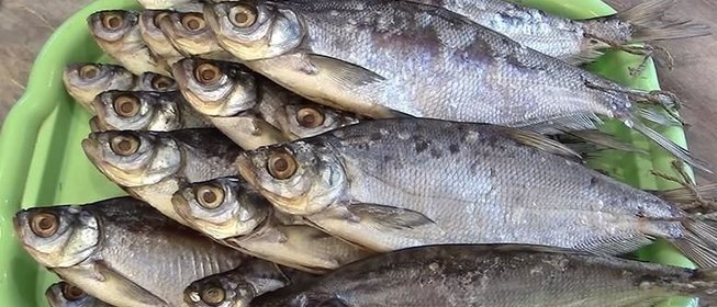 Сухая засолка рыбы на зиму