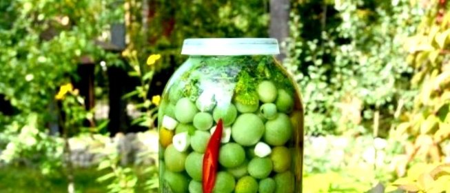 Засолка зелёных помидоров холодным способом