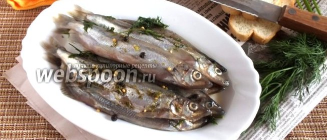 Мойва солёная