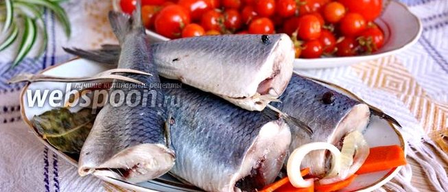 Сельдь домашнего соления