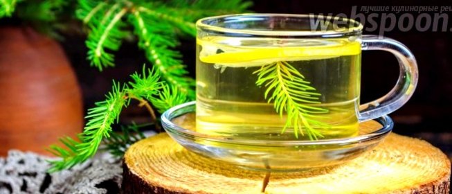 Чай из хвои