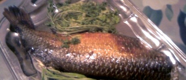 Фаршированная кефаль