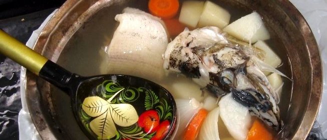 Двойная уха