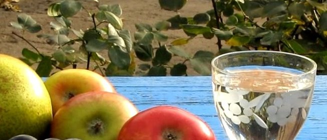 Самогон из винограда в домашних условиях