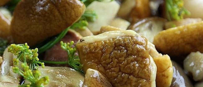 Засолка белых грибов на зиму