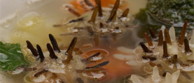 Куриные пупки на меду