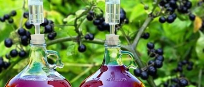 Домашнее вино из санберри